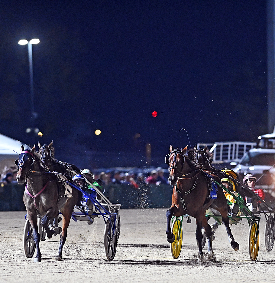 McCoy: Diabolic Hill Stole The Show...In Breeders Crown Big Tease