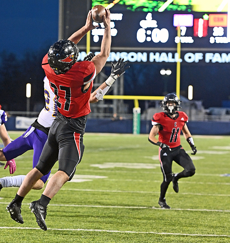 Canfield Cardinals are Division III State Champs 