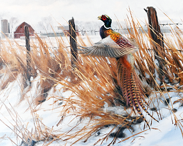 Christmas Memory: ‘Good Will Hunting’, And Pheasants In The Snow