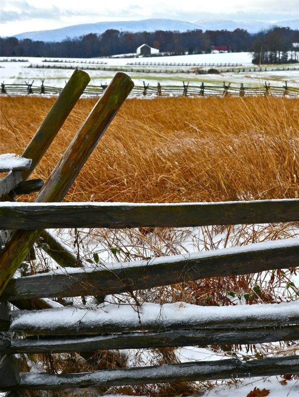 Their Story Told By The Wind…