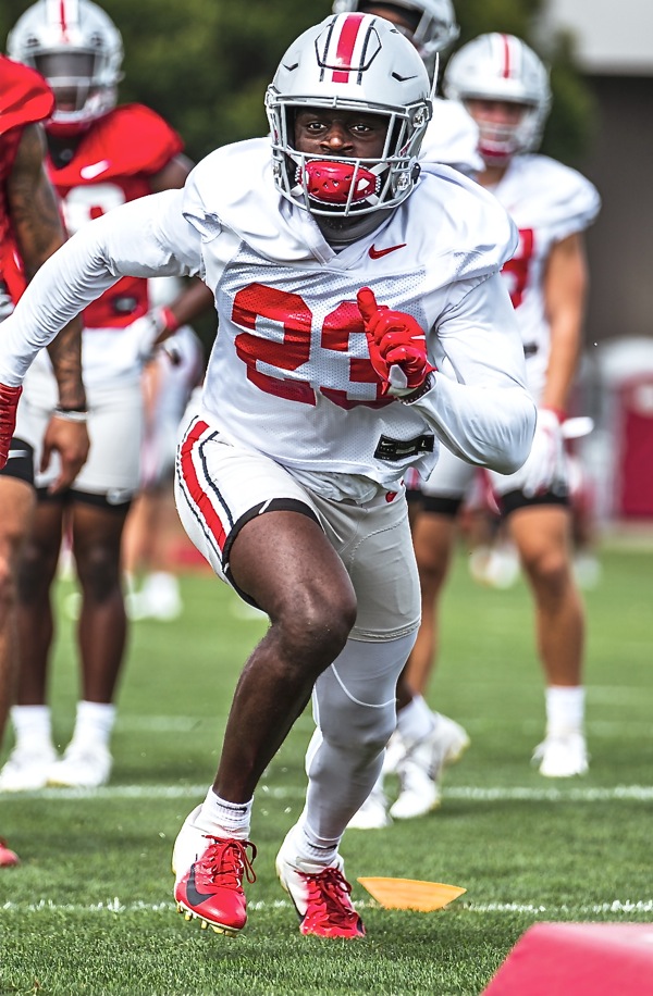 Buckeye Football: Proctor And Hooker Next Up For Free Safety