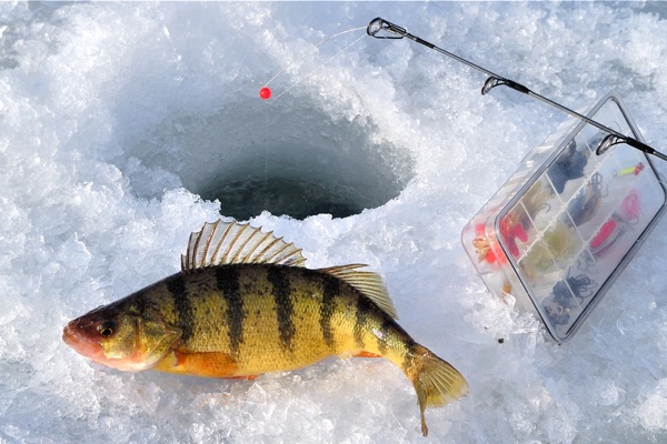 The Best Day Fishing…Ever!