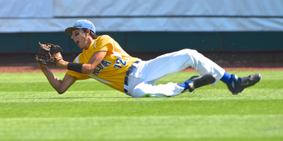 Minster's Jack Dapore makes a diving catch in bottom of the second inning in Saturday's Division IV championship game.