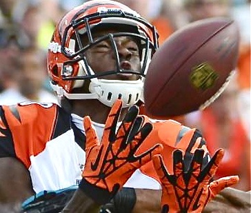 ajgreen_inset